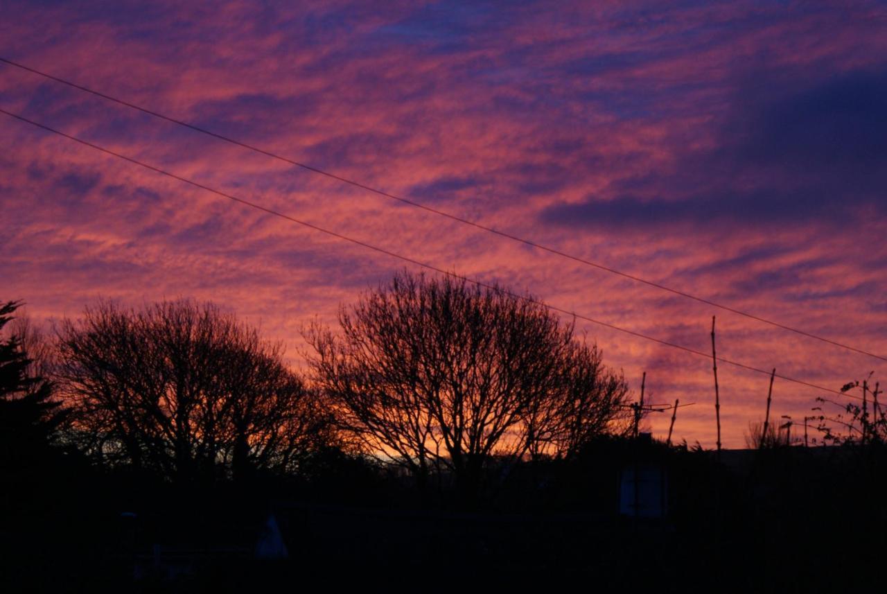 Great Philham House B&B Hartland Bagian luar foto